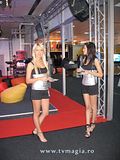 fete cerf 2008