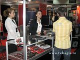 fete cerf 2008
