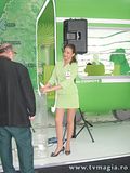 fete cerf 2008
