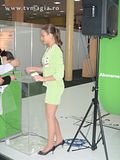 fete cerf 2008