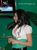 fete cerf 2008