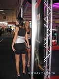 fete cerf 2008