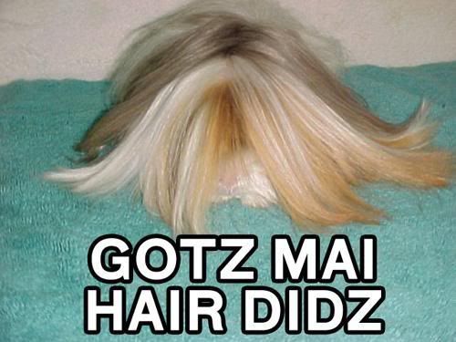 HAIR.jpg HAIR image by Grenade1488