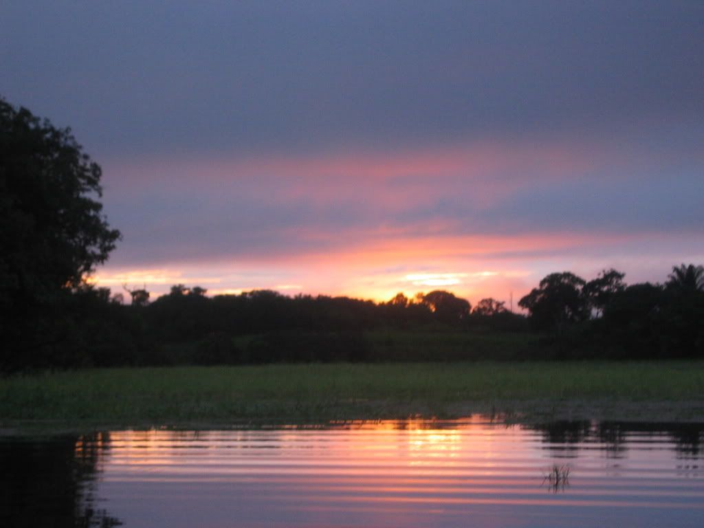 Sunrise in Amazon