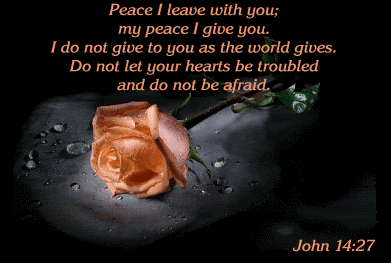 scripture.gif image by roselight