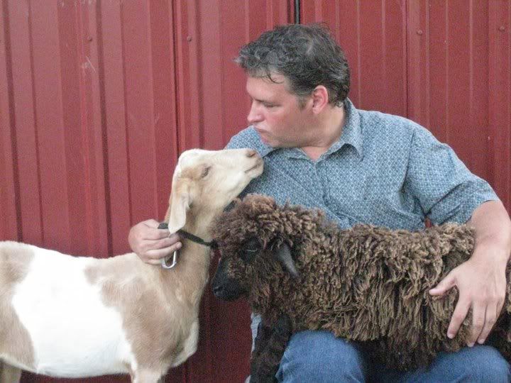 My milking song... - Goats