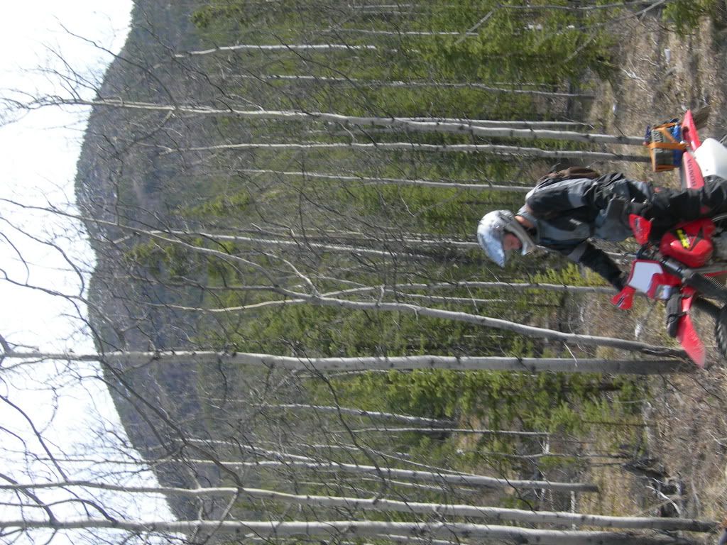 Tak6-1.jpg