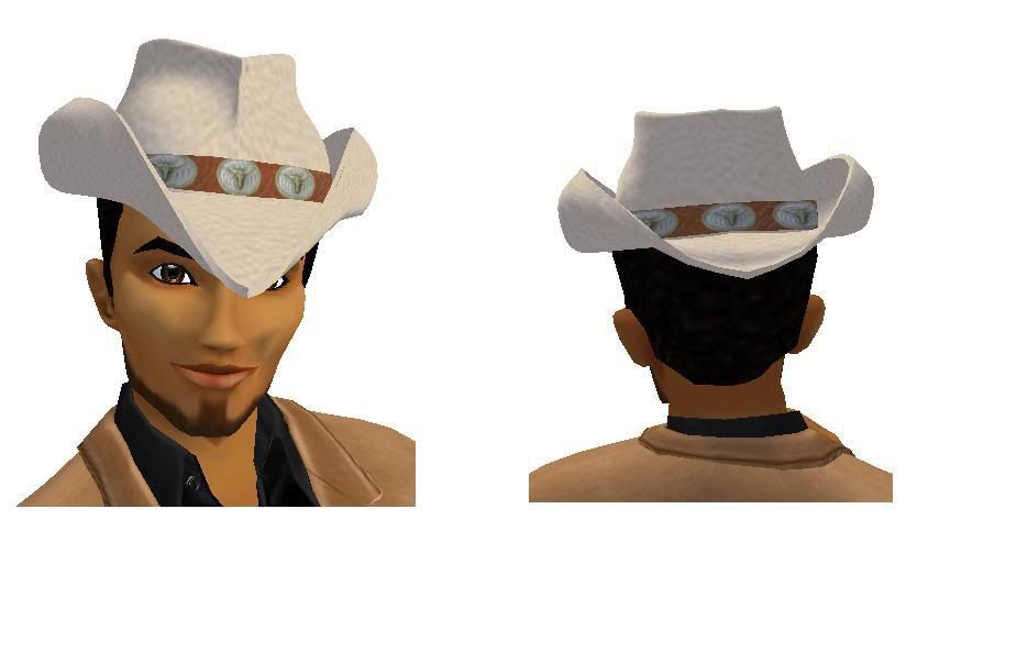 ~T~Cowboy Hat2