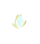WaterLily.gif picture by doetsi