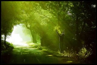 pilgrim_by_werol.jpg picture by doetsi