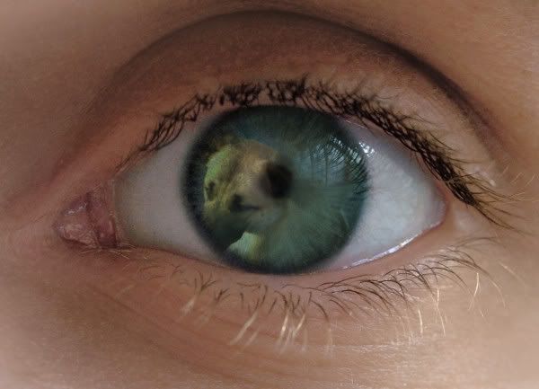Kati-auge.jpg