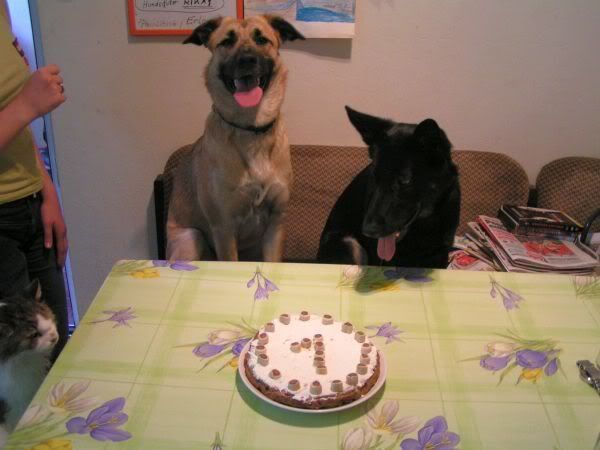 Kati_Rika_Torte.jpg