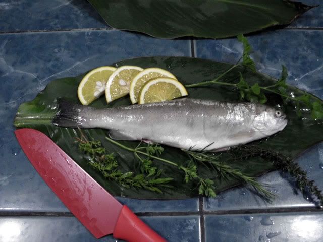 Posted Image