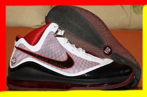 lebron7_1.jpg