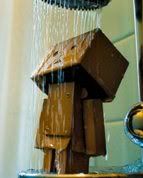 Danbo Pictures, Images and Photos