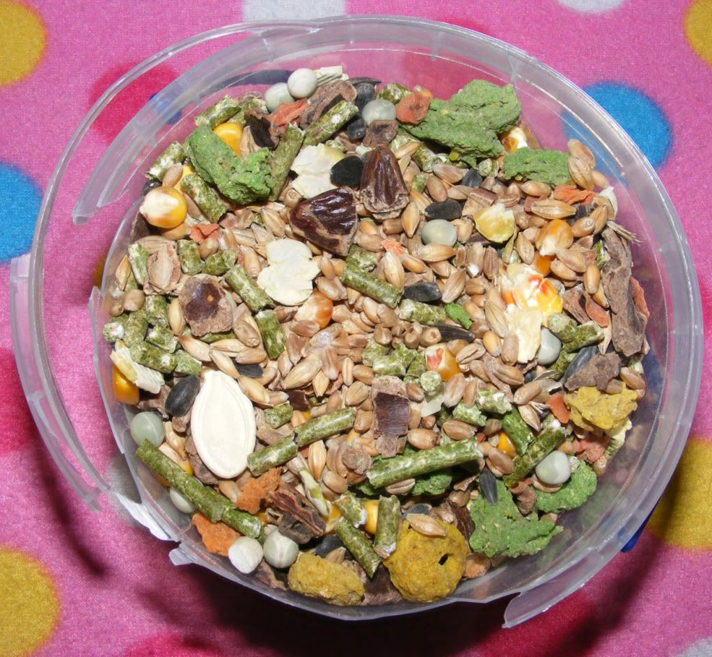 Obrázek