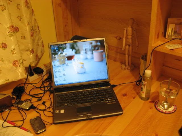 IMG_1853.jpg picture by yuiyuiaoi