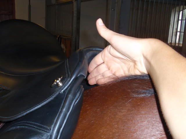Bild007.jpg