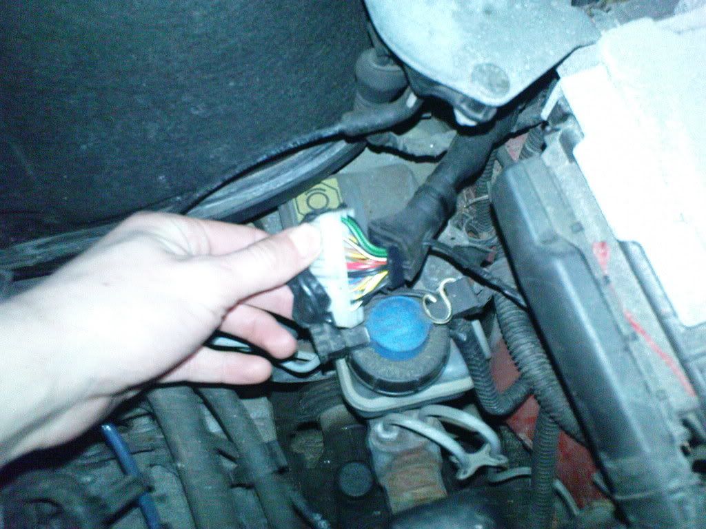 DSC00168.jpg