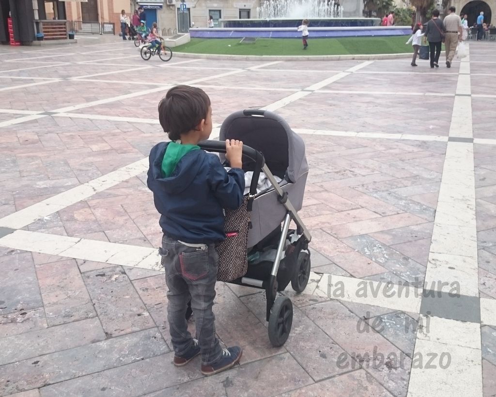  photo DSC_1288_zpsxrxmva37.jpg