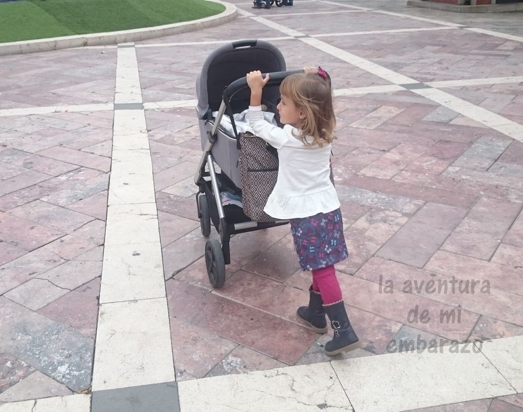  photo DSC_1290_zpsarzq5y27.jpg