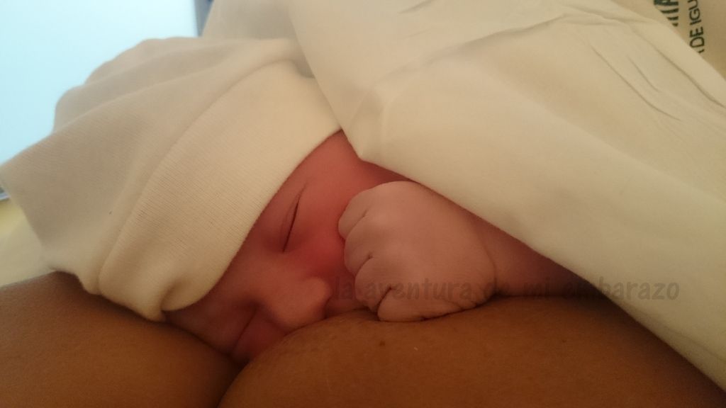  photo DSC_1323_zpskabgdg8s.jpg