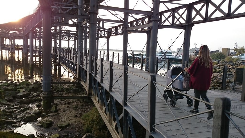  photo DSC_2051_zps7vstfgxd.jpg