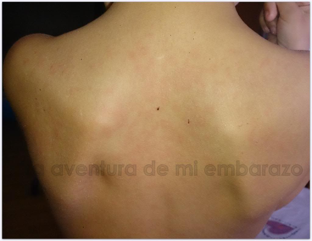  photo DSC_2141_zpse0a7334e.jpg