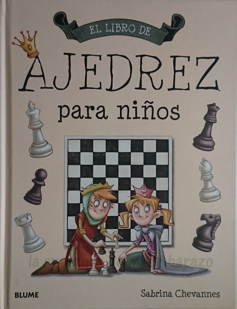 photo aprender-ajedrez-nintildeos-boolino-9_zpsftccokzp.jpg