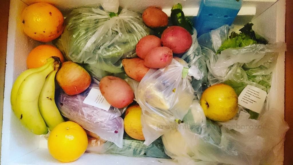  photo cesta-disfrutayverdura_zps0bkibusf.jpg