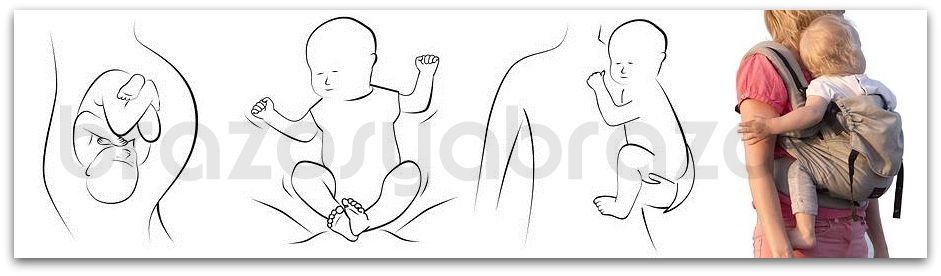 photo mochila_emeibaby_evolucion_desarrollo_bebe_zpsd22123e7.jpg