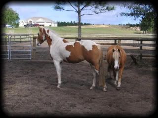 Penny and Abby Jan 2008