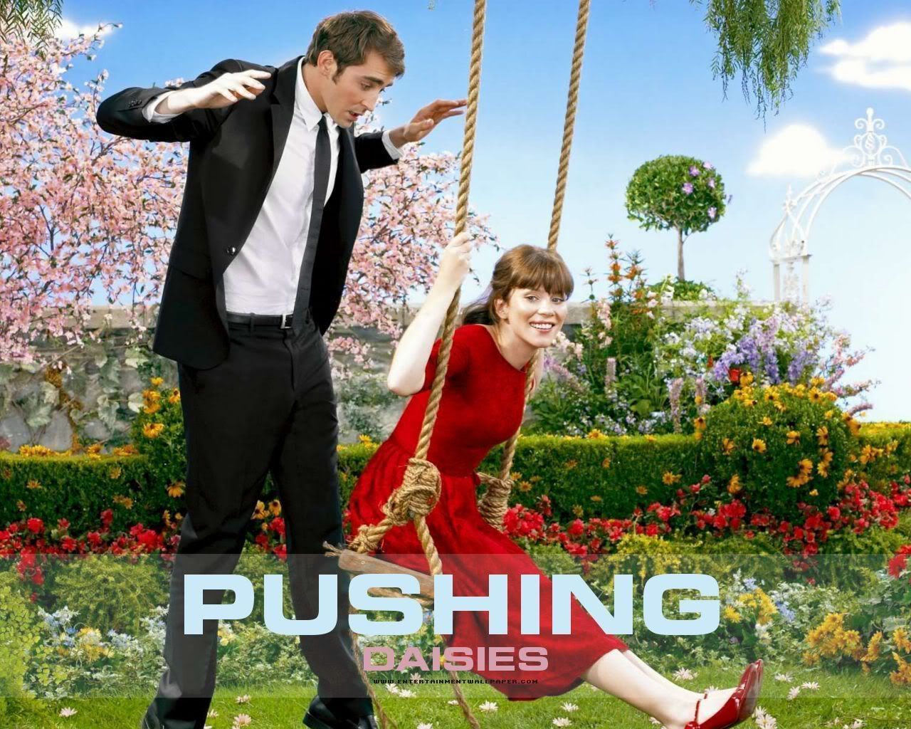 pushing daisies