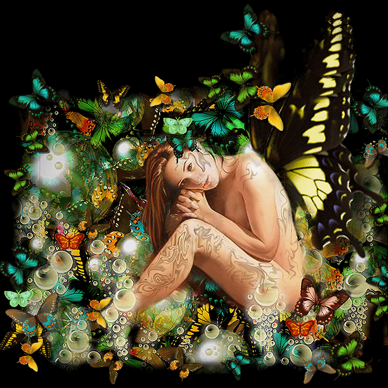 Animation5-1.gif vlinders