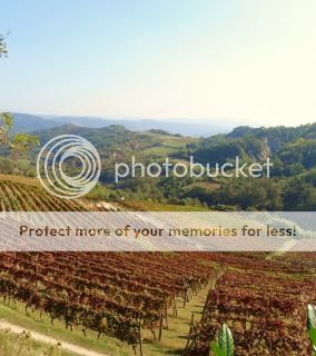 Wijnboerderij Spigno Monferrato