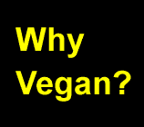 Why Vegan? - animals, health, hunger and the planet!