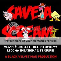 Save A Scream interview MVC founder Kevin White