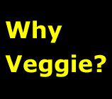 Why Veggie? - animals, health, hunger and the planet!
