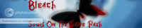 *Souls On The Same Path* .:Bleach Rp:. banner