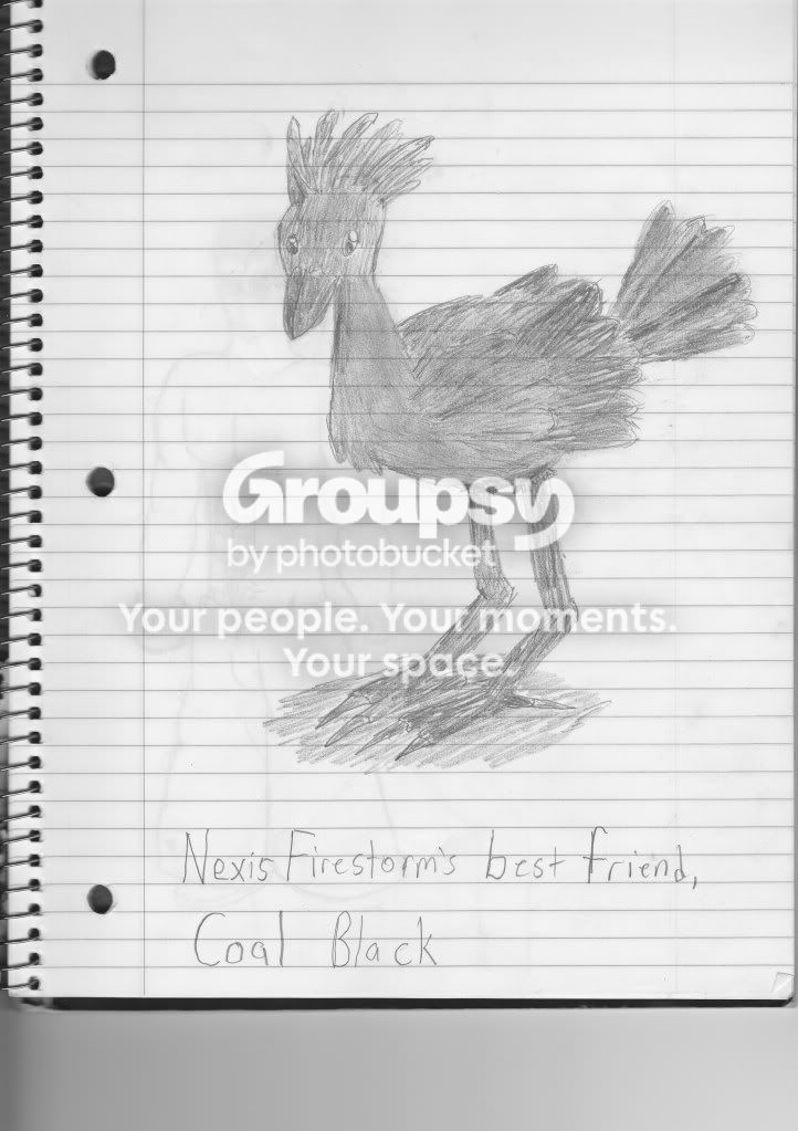 User Image