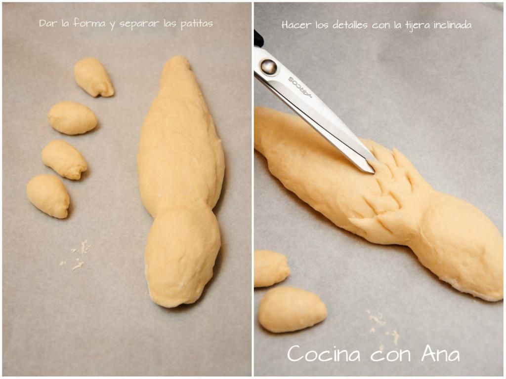 collagecocodrilo1_zps66vpxc4q.jpg~original