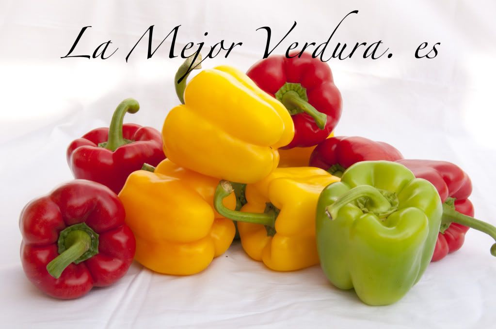 pimientosdecolores.jpg
