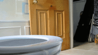 funny-2-2.gif