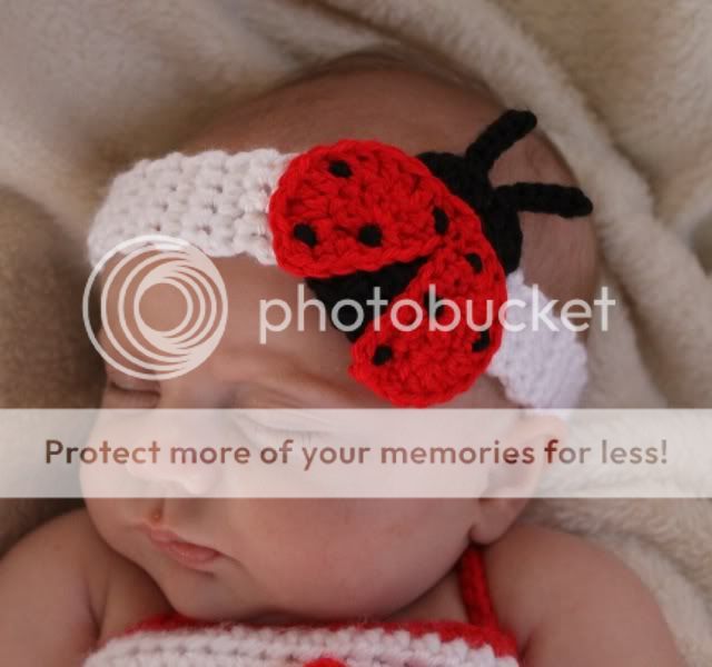 Handmade Crochet Baby Toddler Lady Bug Headband You Choose Size